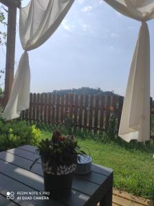 una mesa con una maceta y una sombrilla en B&B TERRA DI COLLINA, en Vigliano d'Asti