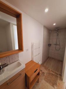 La petite salle de bains est pourvue d'un lavabo et d'une douche. dans l'établissement Le Castellet Gem, au Castellet