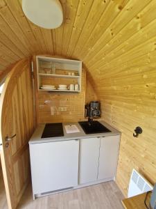 Η κουζίνα ή μικρή κουζίνα στο Tiny Igloo Lindström +10 φωτογραφίες