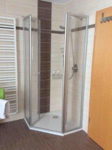 eine Dusche mit Glastür im Bad in der Unterkunft Schöne Ferienwohnung am Fuße der Rhön. in Eichenzell