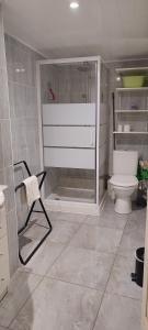 a bathroom with a shower and a toilet and a chair at La maison du pêcheur in Livinhac-le-Haut