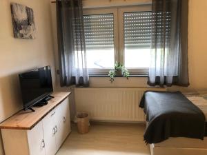 a bedroom with a bed and a television and a window at Pension Am Römerhof in Münzenberg