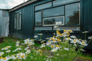 Vườn quanh Magic House Patagonia