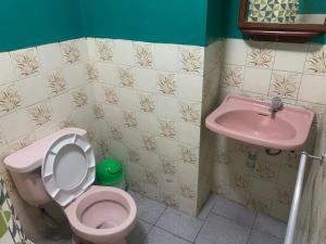 a bathroom with a pink toilet and a sink at Hostal Residencial La Esmeralda in Lima