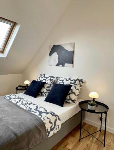 a bedroom with a bed with blue and white pillows at Appartement dans une maison cosy in Chartres