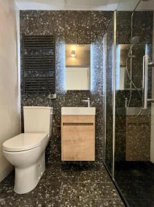 a bathroom with a toilet and a shower at Appartement dans une maison cosy in Chartres