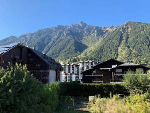 een groep gebouwen voor een berg bij Résidence Androsace Du Lyret - 2 Pièces pour 2 Personnes 564 in Chamonix-Mont-Blanc