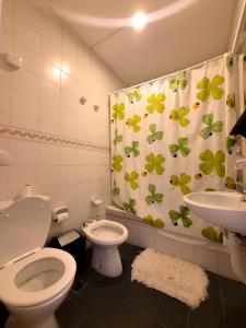 a bathroom with a toilet and a sink and a shower curtain at Casa Amonite Hostel Boutique in Puerto Madryn