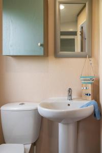 ein Badezimmer mit Toilette, Waschbecken und Spiegel in der Unterkunft Regal Beachside pitch 22 Creek Caravan Park in Ringstead