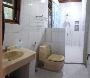 La salle de bains est pourvue de toilettes, d'un lavabo et d'une douche. dans l'établissement Umah Tyang Pancasari, à Bedugul