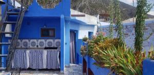 a blue house with a ladder and plants at Casa Azul in Chefchaouene