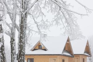 una casa con techo cubierto de nieve en Domek pod lasem-Orawskie Ranczo, en Harkabuz