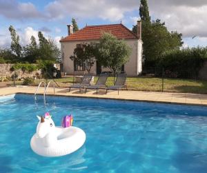 una piscina con un unicornio inflable en el agua en Maison en Vendée avec Piscine, en Corpe