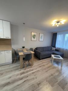 a living room with a blue couch and a table at Mieszkanie w centrum z oddzielną sypialnią in Płock