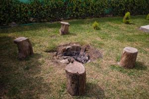 un jardín con troncos y una hoguera en la hierba en Casa Elizabeth - Recreate, en Mala