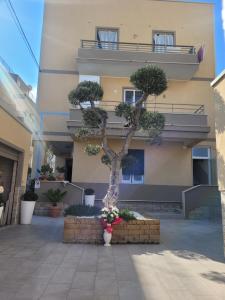 un albero in un piantatore di fronte a un edificio di House del Levante a Bari