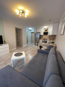 a living room with a couch and a kitchen at Mieszkanie w centrum z oddzielną sypialnią in Płock