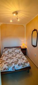 Postel nebo postele na pokoji v ubytování Apartmani Milicevic