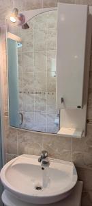 Koupelna v ubytování Apartmani Milicevic