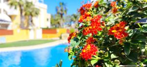 Bazén v ubytování Apartamento Playa Sol by DENIA COSTA nebo v jeho okolí