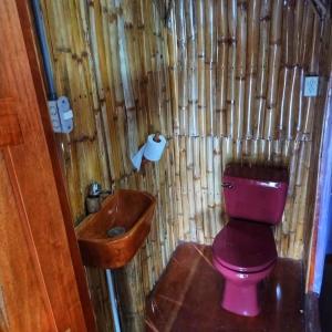 a bathroom with a pink toilet and a wooden sink at Hostel & Camping Sol Y Luna Ometepe in Balgue