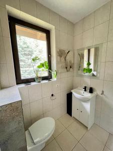 a bathroom with a toilet and a sink and a window at Forest Villa w pobliżu Suntago in Krzyżówka