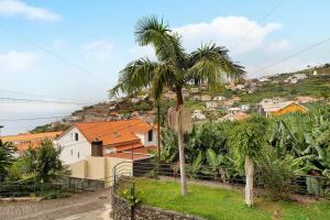 una palmera sentada en la cima de una colina en Sea La Vie House, en Ribeira Brava