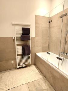 a bathroom with a shower and a bath tub at Very cosy and quiet Apartment at Stadtpark in Vienna