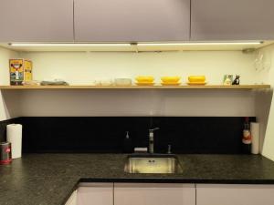 a kitchen with a sink and a counter top at Very cosy and quiet Apartment at Stadtpark in Vienna