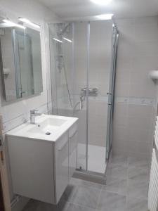 een witte badkamer met een wastafel en een douche bij Le Studio in Saint-Martin-des-Tilleuls