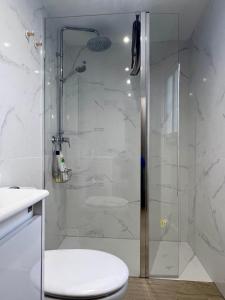 y baño con ducha de cristal y aseo. en SANTA CLARA Con opción a Parking, en Jaén