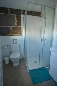 a bathroom with a toilet and a glass shower at Apartamento Narcisa in El Golfo