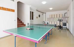 Stolní tenis v ubytování Cozy Home In Gornji Vinjani With Wi-Fi nebo okolí