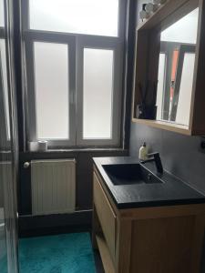 a kitchen with a sink and two windows at Etterbeek Youth Hostel in Brussels