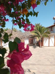 Ein Gebäude mit einem Blumenstrauß am Strand. in der Unterkunft Kalua Plateritos in Plateritos