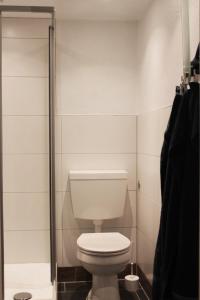 a bathroom with a white toilet and a shower at Ferienwohnung Struve Nr 2 in Petersdorf auf Fehmarn