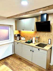 a kitchen with a sink and a counter top at Pension Victoria in Halberstadt
