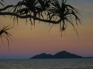 a silhouette of a palm tree over the ocean at sunset at Mission Beach Hideaway Holiday Village in Mission Beach