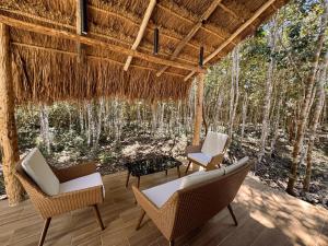 une terrasse avec des chaises, une table et des arbres dans l'établissement Casa Kaan Calakmul, à Xpujil