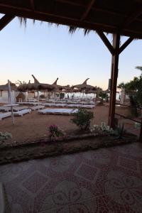 a group of white tables and umbrellas on a beach at Sunshine Divers Club in Sharm El Sheikh