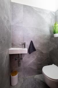 デマノブスカ・ドリーナにあるApartmán naCHALETY JASNÁの洗面台とトイレ付きのバスルーム