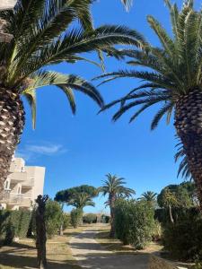 eine Reihe von Palmen neben einem Gebäude in der Unterkunft Résidence Les Capitelles - Studio vue sur Mer in Saint-Cyprien