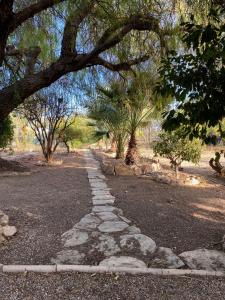 a stone path in the middle of a park with trees at Casa Rural AGAPITOS 2 in Torre-Pacheco