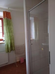 eine Dusche mit einer Glastür in einem Badezimmer in der Unterkunft Pension Hayna Zi. 1 und Zi. 2 in Schkeuditz