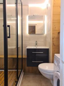een badkamer met een wastafel en een toilet bij Résidence Andromede - Studio pour 4 Personnes 274 in Magland
