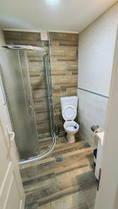 a bathroom with a toilet and a glass shower at Sunflower Apartmani in Soko Banja