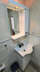 ein Bad mit einem Waschbecken und einem Spiegel in der Unterkunft Sunflower Apartmani in Sokobanja