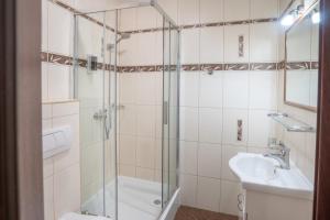 W łazience znajduje się prysznic i umywalka. w obiekcie Willa Monte Rosa w Zakopanem