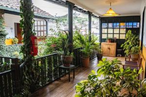 an indoor garden with plants on a balcony at Hostal Riviera Sucre in Otavalo
