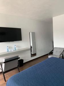 TV a/nebo společenská místnost v ubytování HOTEL LOS PORTALES CHIGNAHUAPAN